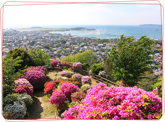 南房総市の風景